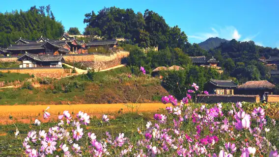 韓國古都慶州世界文化遺產一日遊 (釜山出發, 世界文化遺產)