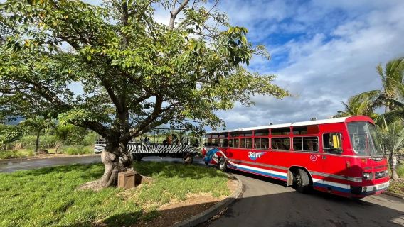 Eintägige Schnorcheltour zum Blauen Bucht Meerespark und Gris Gris Strand