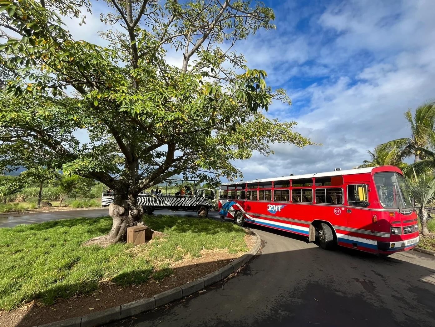 Tour di snorkeling di un giorno al Blue Bay Marine Park e alla spiaggia di Gris Gris