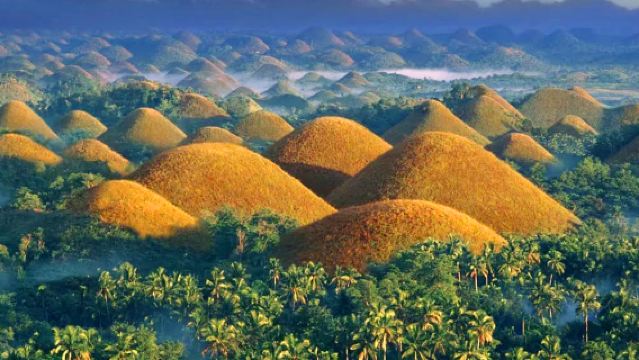 フィリピン・ボホール島発 チョコレート・ヒルズ陸上ワンデーツアー(英語ガイド) メガネザル保護区&バタフライバレー