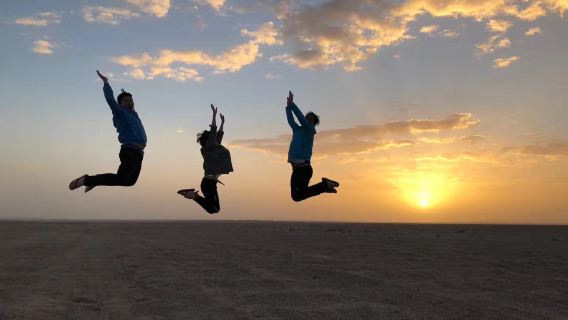 Egypt Red Sea Desert Safari and Stargazing Half-Day Tour: Red Sea Desert Sunset Camel Tribe Experience with Special Dune Bashing + Stargazing