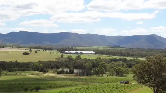 從雪梨出發：屢獲殊榮的獵人谷葡萄酒和起司之旅