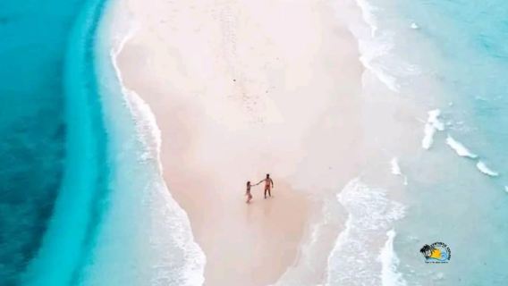 Zanzibar: tour dei delfini di Mnemba con snorkeling e banco di sabbia