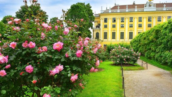 Viena: Visita a los jardines de Schönbrunn con visita opcional al palacio