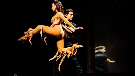 Tango Porteño: Đêm tango hay nhất ở Buenos Aires