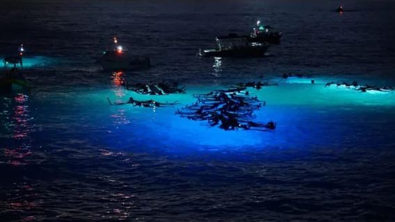 Kona: Manta Ray Night Snorkel Adventure