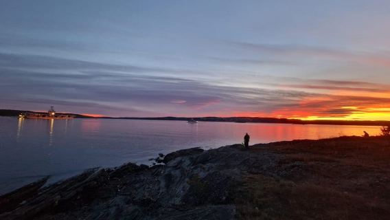 Oslo: Đi bộ đường dài có hướng dẫn viên đến Đảo Malmøya kèm bánh quế và đồ uống