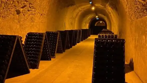 法國巴黎出發：香檳區蘭斯 + 香檳酒莊一日遊