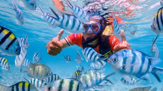 Аренда яхты в Паттайе | Остров Самет/Ко Самайсан | Сноркелинг и встреча с рыбкой Немо | Мало людей, красивые пейзажи