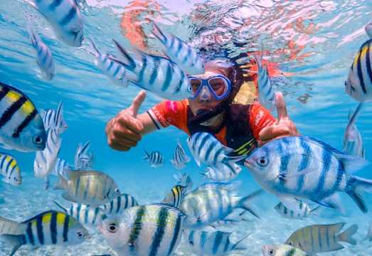 Private Boat Charter in Pattaya: Koh Samet | Snorkeling with Clownfish Nemo | Less Crowded & Scenic Views