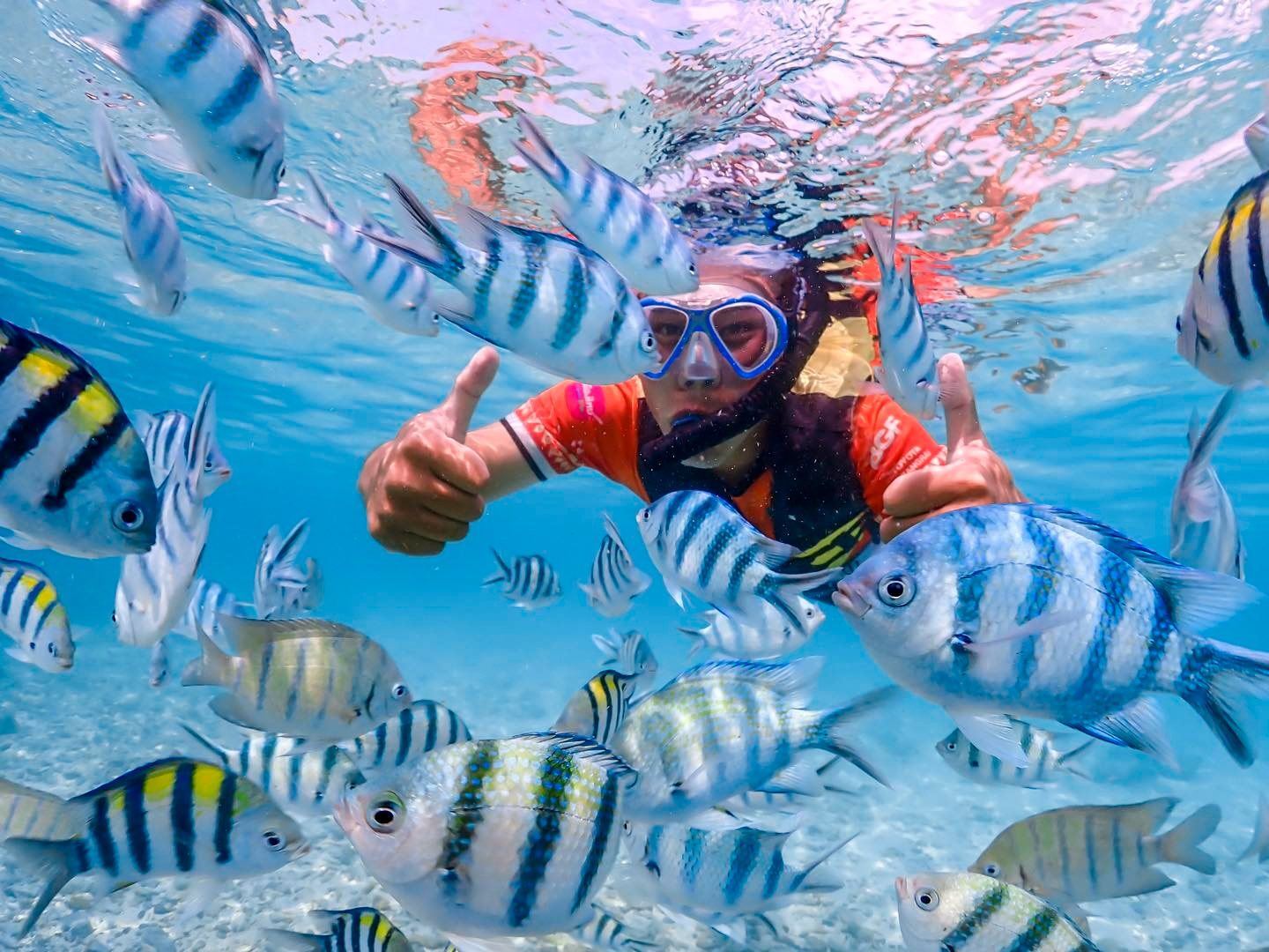 Private Boat Charter in Pattaya: Koh Samet | Snorkeling with Clownfish Nemo | Less Crowded & Scenic Views