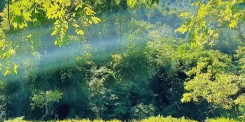 貴州全境|專業翻譯•持證導遊•本地地陪*遵義/六盤水/安順/銅仁/畢節/貴陽/興義/荔波|徒步/漫遊/商務出行