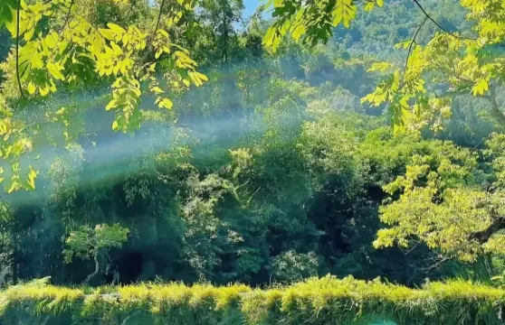 貴州全境|專業翻譯•持證導遊•本地地陪*遵義/六盤水/安順/銅仁/畢節/貴陽/興義/荔波|徒步/漫遊/商務出行