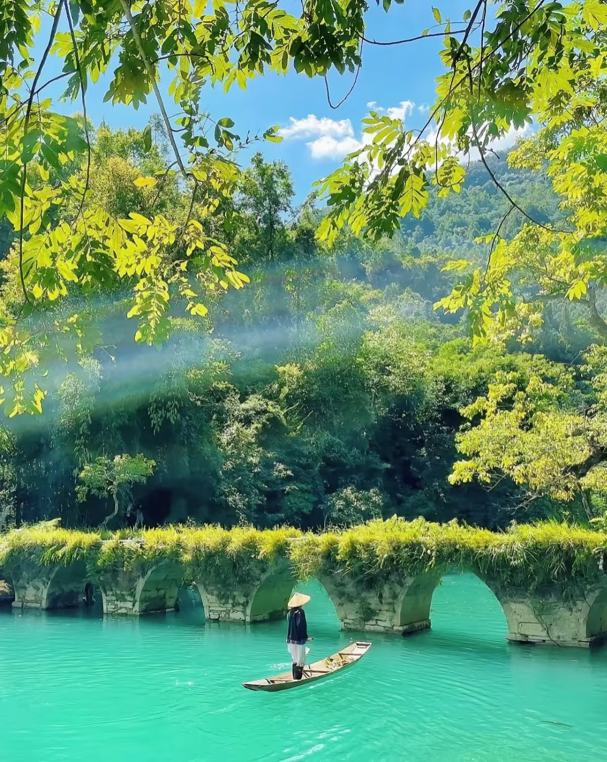 [Guizhou, Cina] Guida professionale/traduttore/accompagnatore locale in cinese/inglese/francese/coreano/lingue minoritarie, attrazioni e divertimenti/City walk/traduzione per affari e fiere