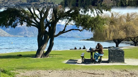 新西蘭基督城市中心精華打卡網紅經典景點-包車-精選行程