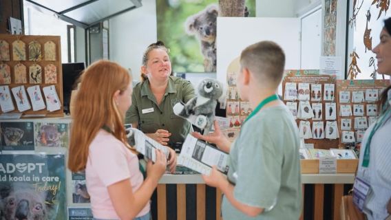 Sydney: Port Stephens Delfin-Kreuzfahrt & Sandboarding Tagesausflug