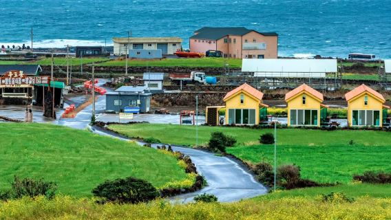 濟州東線漫遊行:牛島+城山日出峰+涉地可支一日遊【15人團】