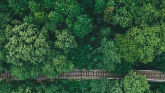信陽市區來回包車｜雞公山-波爾登森林公園一日遊（多車型可選）