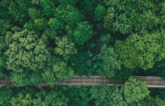 信陽市區來回包車｜雞公山-波爾登森林公園包車遊（多車型可選）