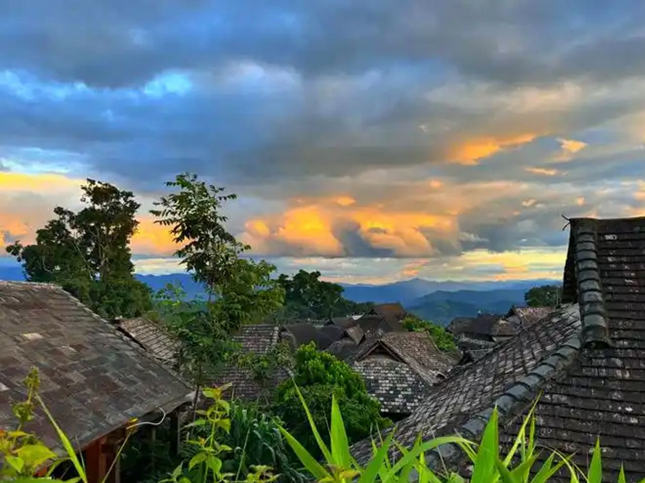 Tour di un giorno alla Montagna Jingmai + Antico Villaggio Wengji + Antico Villaggio Nuogan|Servizio di prelievo e riaccompagno a domicilio|Scatta foto al mare di nuvole