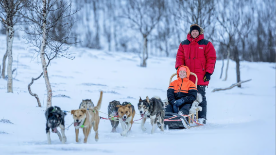 Premium Dog Sledding Tour at Camp Tamok in Tromso, Norway