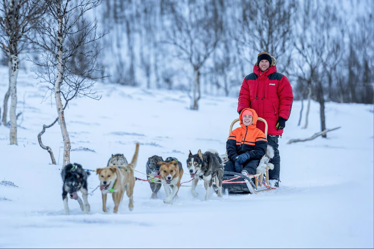 Premium Dog Sledding Tour at Camp Tamok in Tromso, Norway