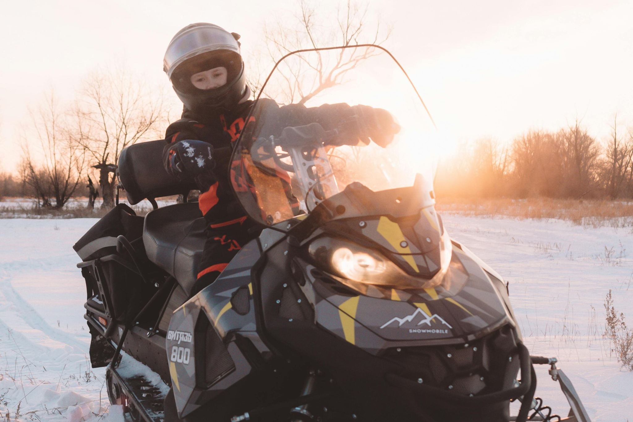 Zoo di Asahiyama + Terrazza degli Elfi + Parco della Fattoria di Biei (opzionale slitta trainata da cani | Partenza da Sapporo, Hokkaido)