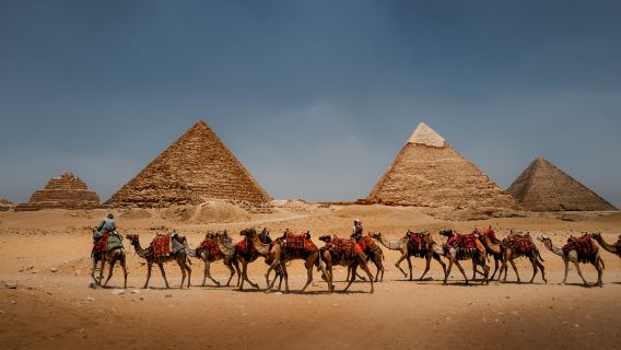 Pyramids + Grand Egyptian Museum + Cairo Citadel + Khan el-Khalili + Private Transfer