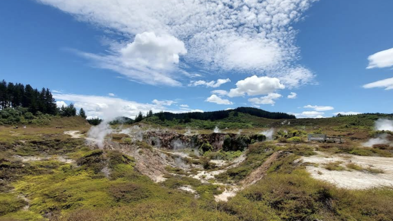 紐西蘭奧克蘭-科羅曼德爾半島-哈嘿【中文專車-愜意舒適】