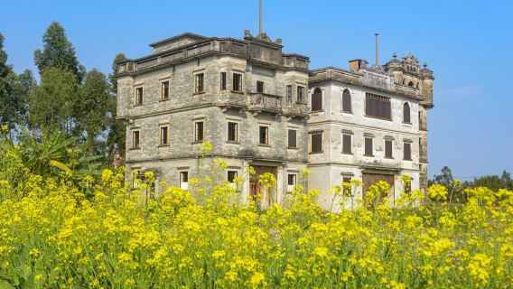 江門自力村+倉東村+塘口墟+醬油稻田咖啡一日|包車遊上門接送