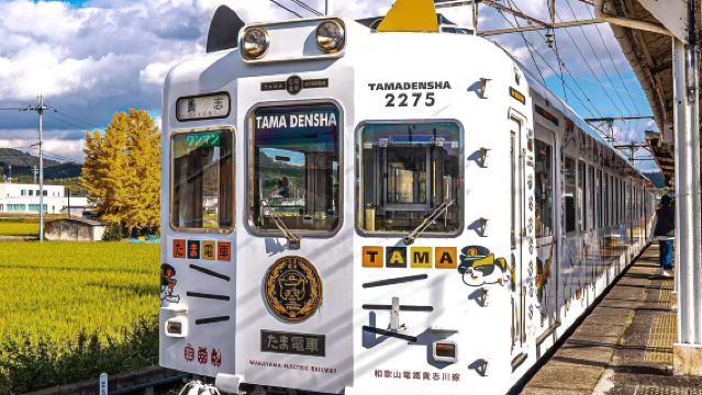 Lawatan Sehari Wakayama + Stesen Kishi + Penyembelihan Ikan Tuna + Onsen Shirahama + Senjojiki + Sandanbekku