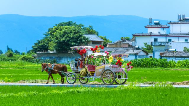 Dali Erhai+Shuanglang+Xizhou+Little Putuo Island Private Day Tour [Multilingual Services]