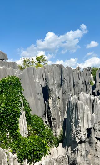 Kunming Top Picks:Stone Forest and Dianchi Lake One-Day English Mini-Group Tour
