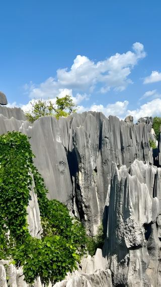 Kunming Top Picks:Stone Forest and Dianchi Lake One-Day English Mini-Group Tour