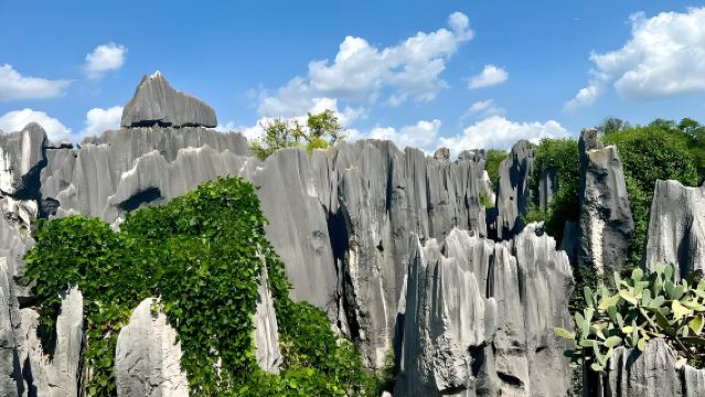 Kunming Top Picks: Tagesausflug in kleiner englischsprachiger Gruppe zum Steinwald und Dian Chi