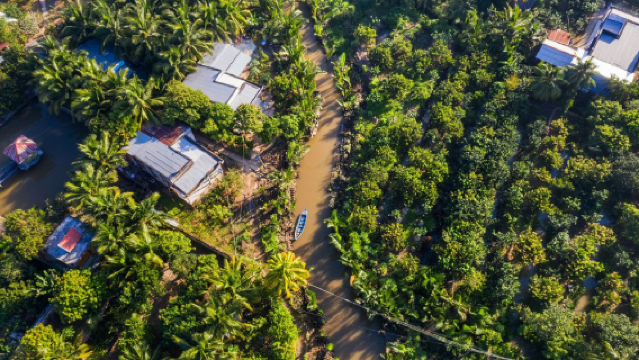 Full-Day Cu Chi Tunnels & Mekong Delta: Standard, Small Group or Luxury Limousine Options