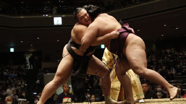 Весенний тур по регионам сумо в 2026 году