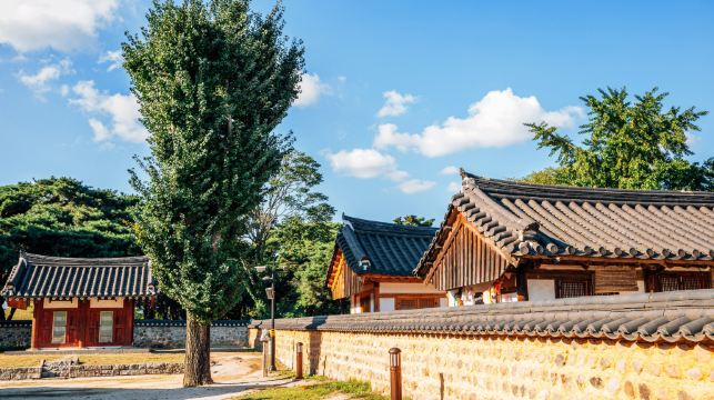 韓國慶州新羅古蹟一日遊 (釜山出發, 世界文化遺產)