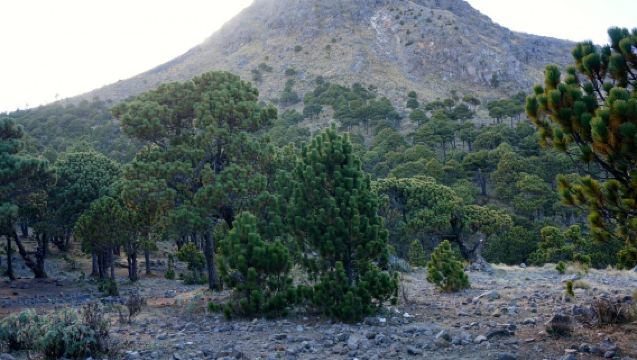 Desafío de ascenso de un día al volcán Tajumulco | Centroamérica · Salida desde Quezaltenango