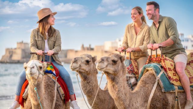 Sydney: Hunter Valley Wine Tasting with Port Stephens 4WD Sandboarding & Camel Ride Full Day Tour