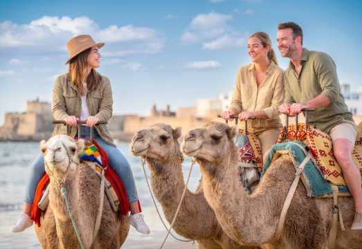Sydney: Hunter Valley Wine Tasting with Port Stephens 4WD Sandboarding & Camel Ride Full Day Tour AUD 173.34