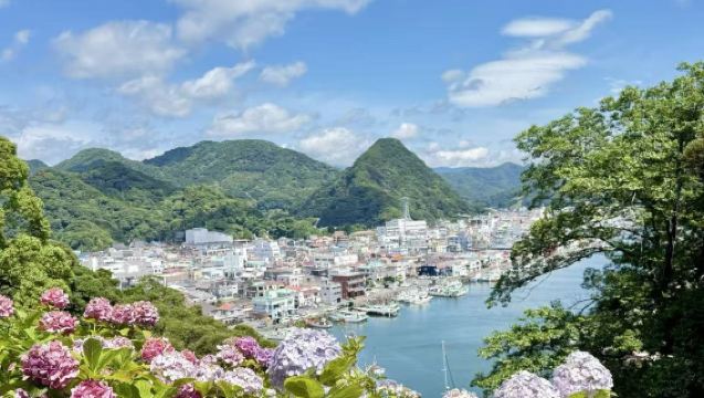 伊豆：河津櫻+白濱海岸+龍宮窟+下田公園【中文包車】