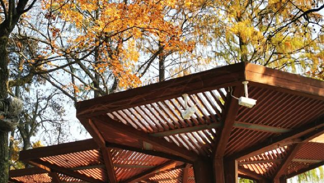 Wuhan 1-day tour: Hubei Provincial Museum + Yellow Crane Tower attraction | Customize private charter with multilingual guides (Chinese & English)