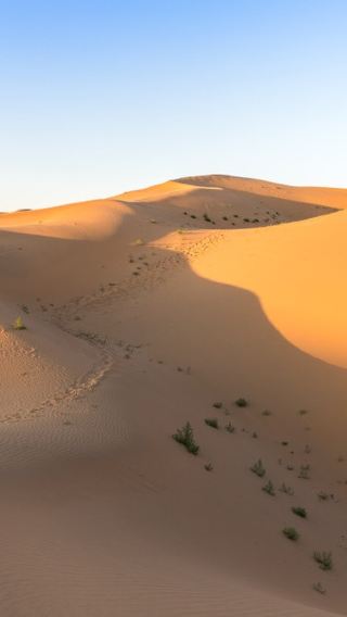 [Departing from Hohhot] Private Whistling Dune Bay Day Tour: Lone Smoke Over the Desert, Golden Sands Singing