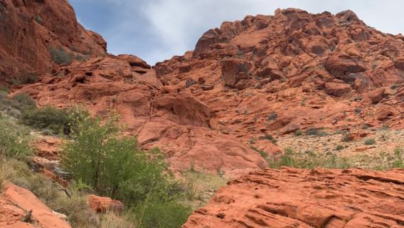 拉斯維加斯+紅石峽谷國家保護區一日遊【中文司機專車接駁】