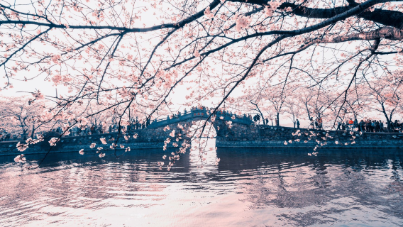 Tagesausflug ab Shanghai zum Lingshan-Riesenbuddha & Taihu-Yuantouzhu Sehenswürdigkeit