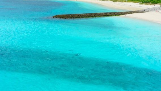 Jepun - Pengangkutan dari Pelabuhan Pulau Ishigaki Okinawa - Kabira Bay & Gua Batu Kapur & Dek Pemerhatian Tamatorizaki & Sewaan Peribadi Eksklusif & Perkhidmatan Pemandu Pelancong/Penerangan Berpandu dalam Bahasa Cina/Inggeris/Tempatan