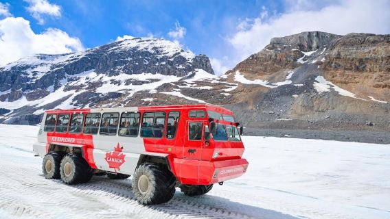 Banff, Canada: 1-day tour to Columbia Icefield, Bow Lake and Peyto Lake | Ride the ice explorer