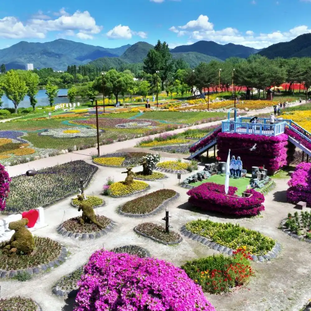 1-day tour to Korea flower festival | Nami Island × Alpaca World