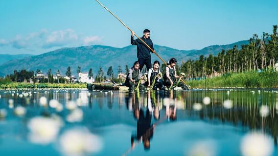 Dali, Yunnan: Remando no lago para colher flores estelares, pescando sob a Via Láctea para fazer robatayaki [Viagem em família + colheita de flores aquáticas + observação da Via Láctea]